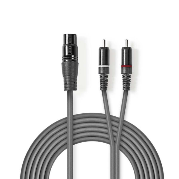 Cabo Stereo XLR Fêmea / 2x RCA macho - 1.5 metros