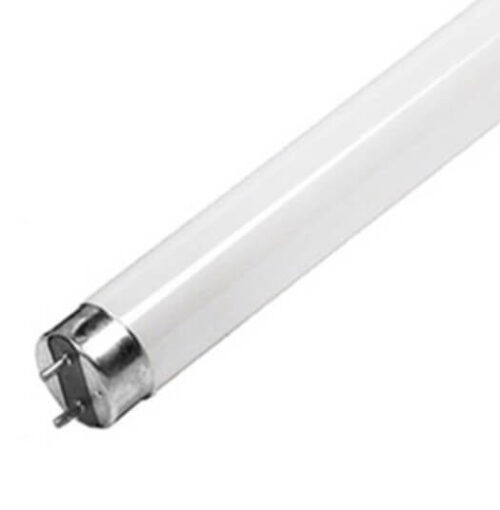 Lampada Fluorescente Ultravioleta BL T8 10W (30cm) p/ Mata-Moscas
