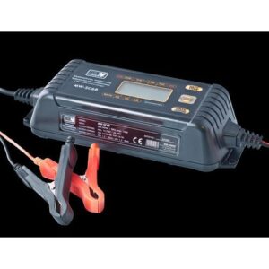 Cargador automático para baterías de plomo-ácido y gel de 12V/24V